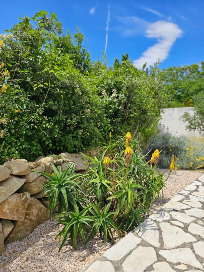 Holiday Homes Sintija Kampor Ngoại thất bức ảnh